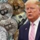 Moeda de Trump: Riscos e volatilidade na Criptomoedas (Foto: Google)